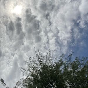 Meet your Posher, Rona